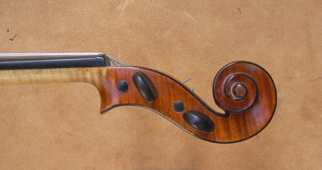 Volute d'alto Cabrera 1902 © Joël Laplane