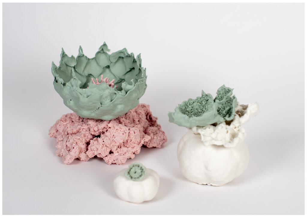 Volcanique ©Virginie Delepierre
