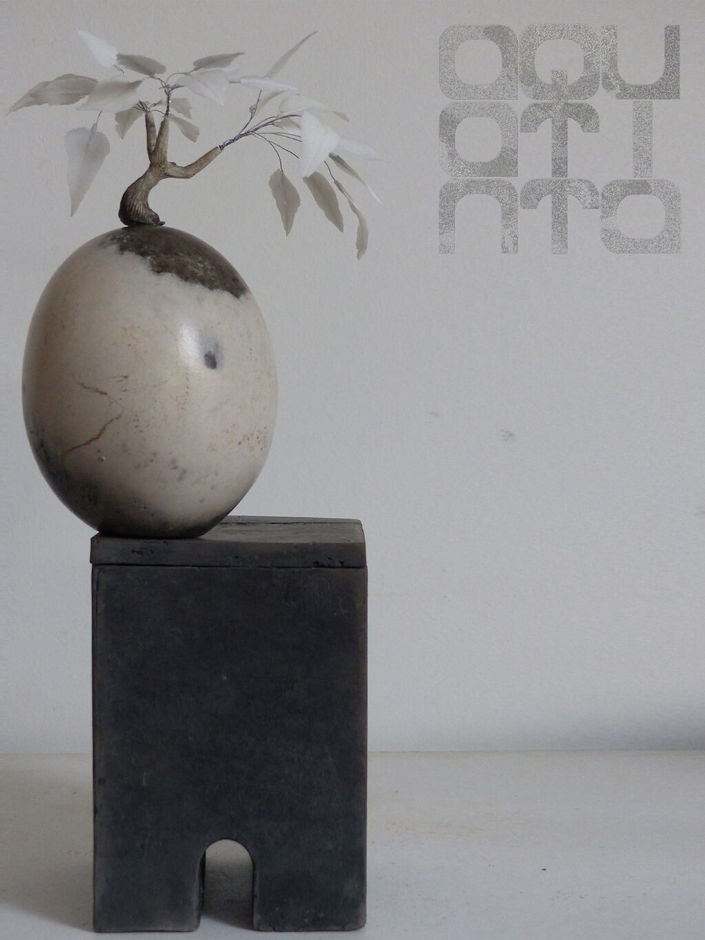 Corinne Millet Caudex