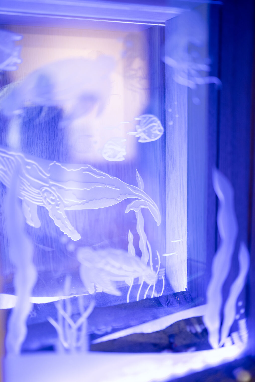 ©Pauline Carton - Luni verre sous l'eau