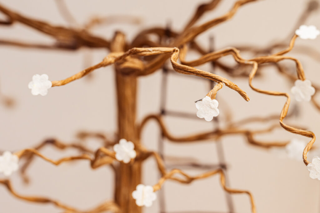 ©FMA2025-Nicolas Donarier-Trapfocus