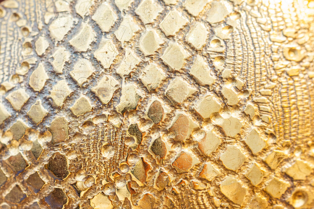 ©FMA2025-Nicolas Donarier-Trapfocus