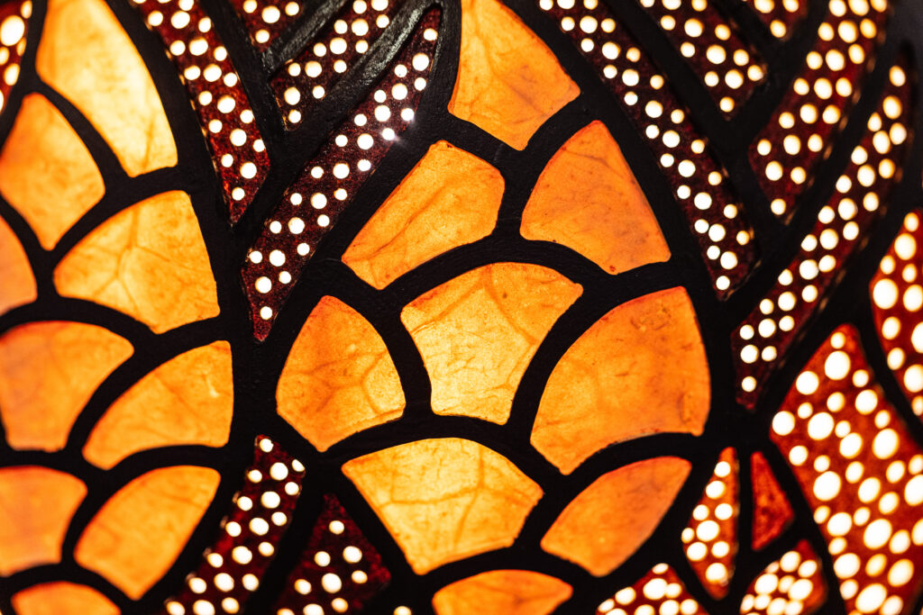 ©FMA2025-Nicolas Donarier-Trapfocus