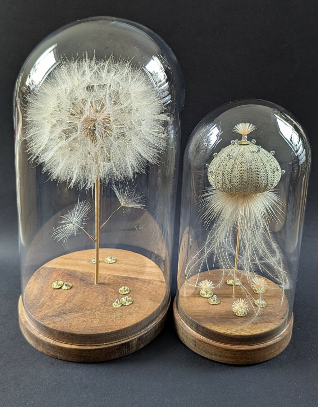 ©Sandrine Housseau - créatrice de curiosités