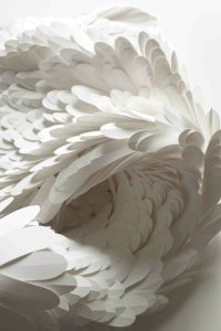 Polymorphoses