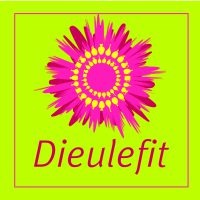 Logo Dieulefit