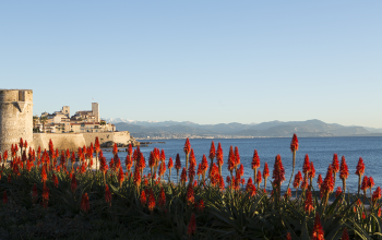 Antibes Juan les Pins