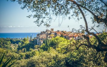 Biot