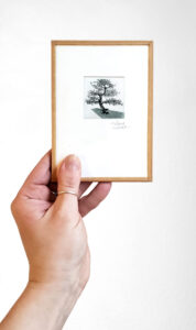 mélanie vialaneix bonsai