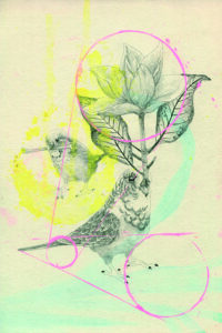 parakeet d. vaute 22x30 cm 2022 céline giraud